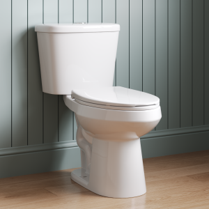 DeerValley DV-2F0387 Two-Piece ADA Chair Height Dual-Flush Elongated Toilet, 1.1/1.6 GPF Water-Saving, MaP 1000g Clog-Resistant Flush, Soft-Close Seat, White