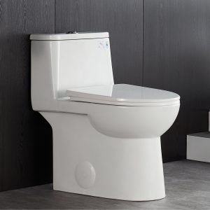 Deervalley DV-1F52677 One-Piece Elongated Toilet, Dual-Flush Full-Size with Multiple Colors