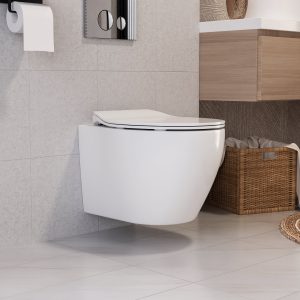 DeerValley DV-1F0069 Wall-hung Toilets Compact Siphon Flush