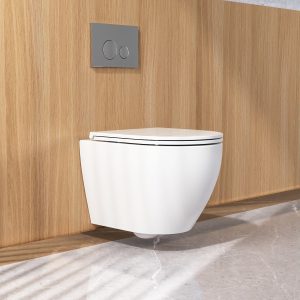 DeerValley DV-1F0070 Wall-hung Toilets Quiet Siphon Flush Quick-Release Seat