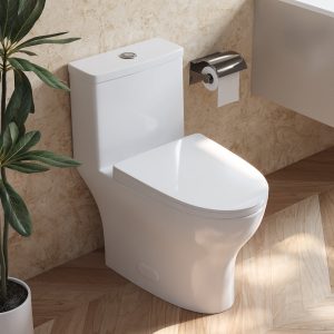 DeerValley DV-1F0073 One-piece Toilets Silent Soft-Close Dual-Flush Self-Cleaning Glaze