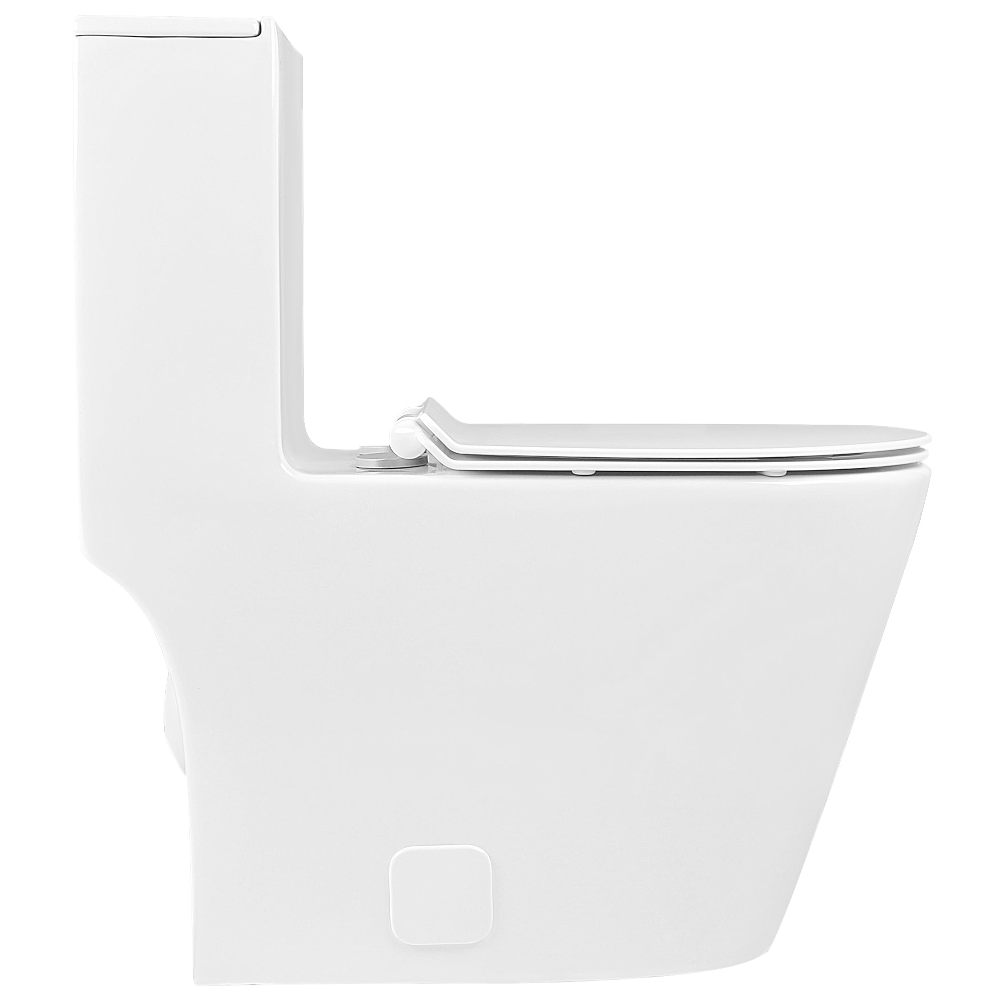 DV-1F0196-0430_1.jpg