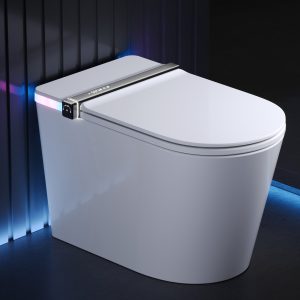 DeerValley DV-1S0360-V3 ADA Smart Toilet with Foam Shield & All-Season Comfort