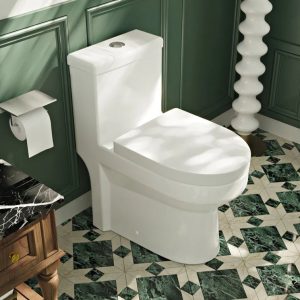 DeerValley DV-1F52813 One-piece Toilets Compact Comfort Dual Flush Space-Saving Design